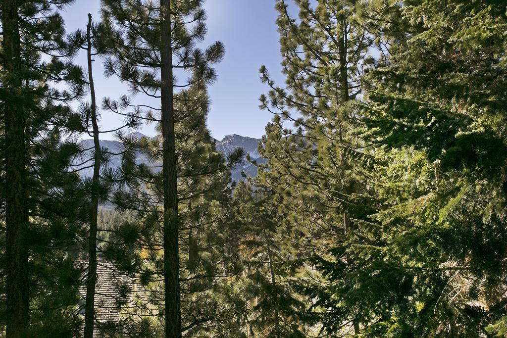 Mammoth Village Properties By 101 Great Escapes Μαμούθ Λέικς Δωμάτιο φωτογραφία